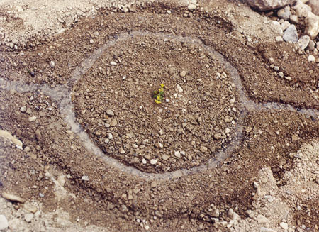 2002 " landart " Kunst im zusammenspiel mit der Natur, rund um die Muttekopfhütte, " Kreislauf " von Gabriel Köfler