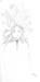 skizzenbuch07_14